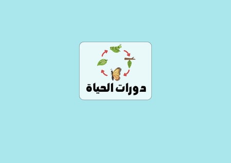 مطوية دورات الحياة الصف الخامس العلوم