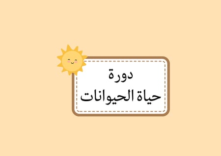 مطوية دورة حياة الحيوانات علوم (الفصل الدراسي الأول )