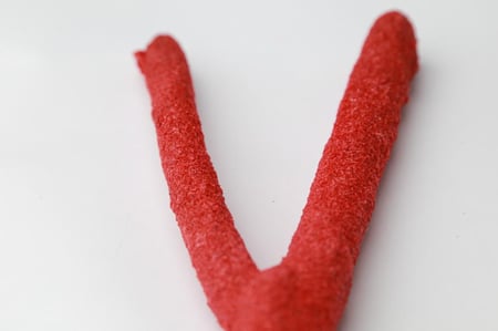 مجثم للطيور الأليفة حرف Y