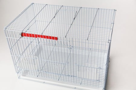مبرد للطيور الأليفة متعدد الألوان