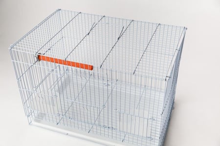 مبرد للطيور الأليفة متعدد الألوان