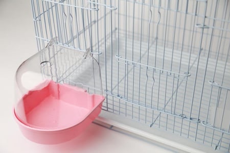 مسبح للطيور الصغيرة