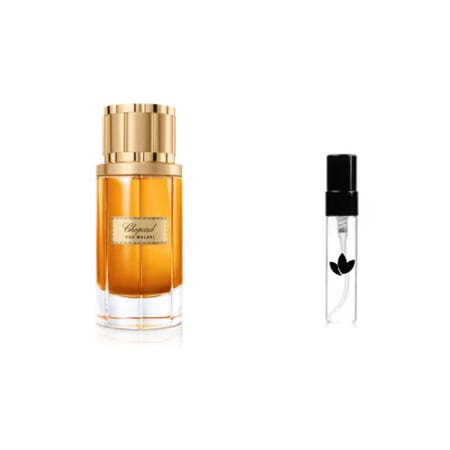 عينة عود ملكي شوبارد