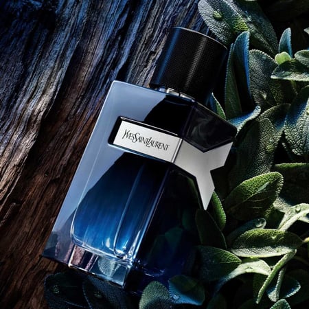 عطر واي من ايف سان لوران للرجال - او دي بارفيوم