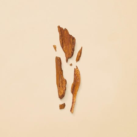 عطر قوتشي قلتي ابسولوت بور فيم او دي برفيوم -90مل