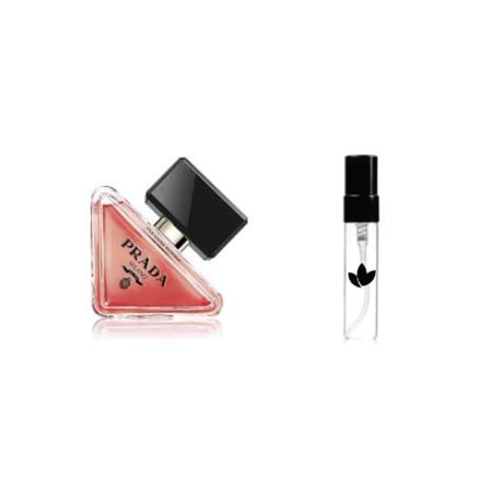 عينة برادا برادوكس انتنس