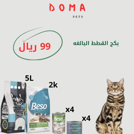 بكج القطط البالغه