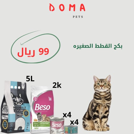 بكج القطط الصغيره