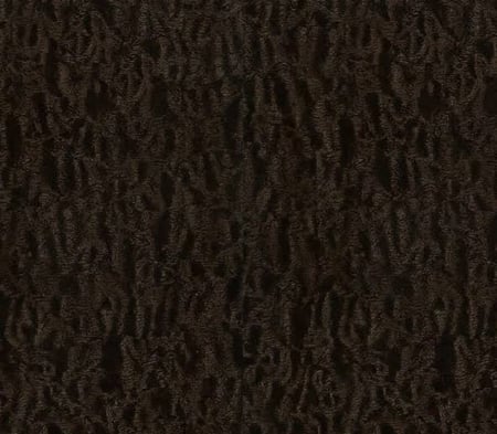 CGT 02 بودرة قليز لون برقوق (30g)