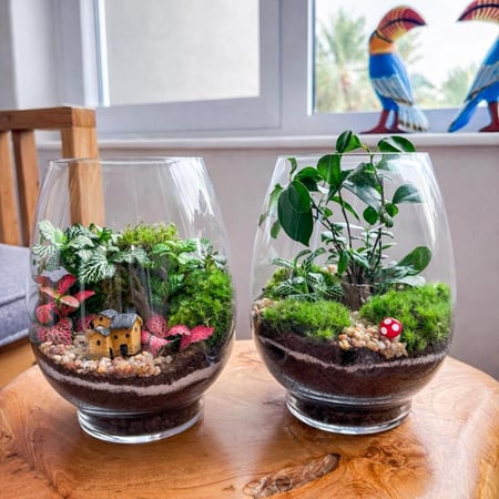 بكج رأس السنه