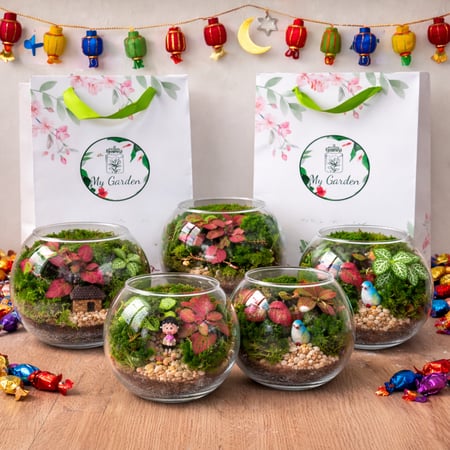 بكج قرقيعان