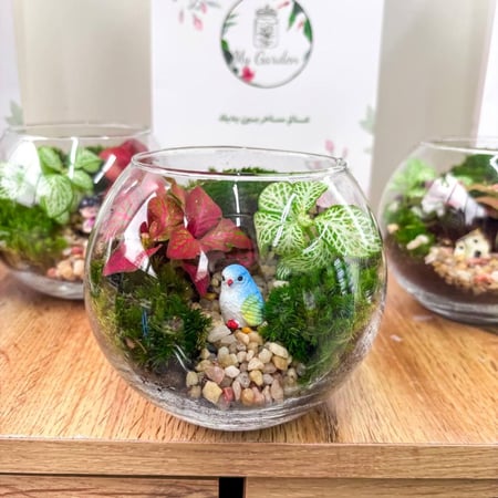 بكج قرقيعان