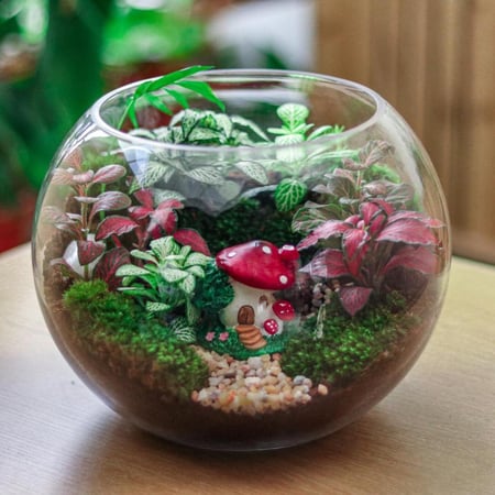 حديقة منزل الفطر (وسط)