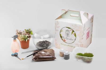 اصنع تيراريومك بنفسك