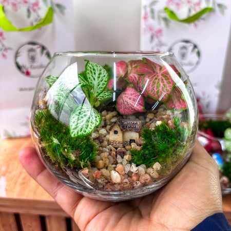 بكج قرقيعان