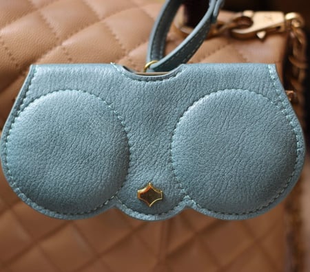 حافظة نظارات