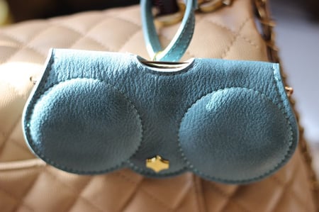 حافظة نظارات