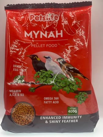 اكل مينا و بلابل