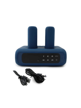 ليد منصة شحن تدعم PD و QC 3.0 مع بطاريتين ومكبر صوت بلوتوث – 10000 مللي أمبير – LPS01