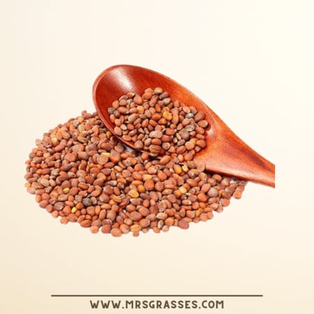 بذور الفجل 200 جرام