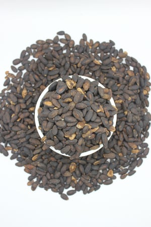 حب اسود بلدي