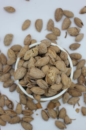 لوز بالقشرة مالح