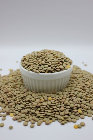 عدس اخضر