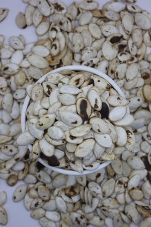 حب قرع ملدوع