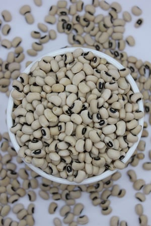 لوبيا