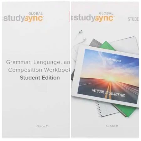 Global StudySync Bundle Gr 11  (Literature + Grammar)  (9781950533886-9781309124307)