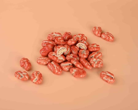 دراجيه من مكسرات فاخرة بالشوكلاتة البلحكيه