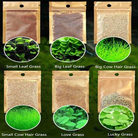 بذور نباتات مائية لاحواض السمك نوع 1 Small Leaf Grass