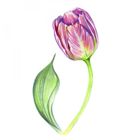 المستشار خلود بنت أحمد المظفر