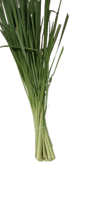 عشبة او حشيشة الليمون (العطرة) طازج