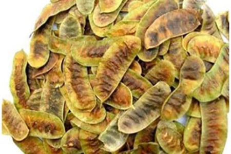 بذور السنامكي للزراعة 100 بذرة