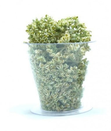 ازهار الحرجل العضوي - مزرعة قطاف رضوى