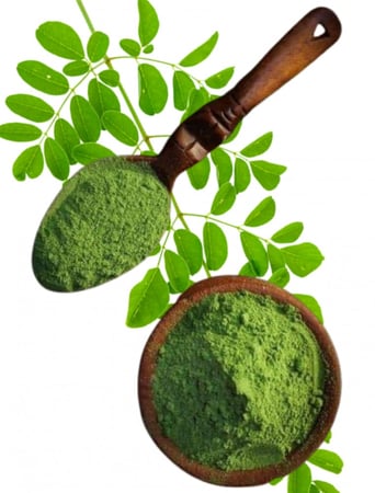مسحوق المورينجا العضوي 500 جرام
