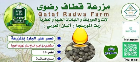 زيت الموربنجا العضوي 120 مل