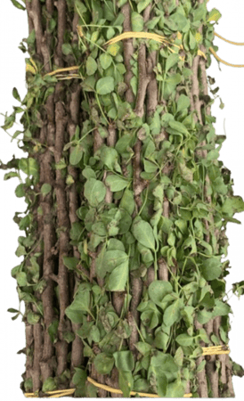 سواك البشام ربطة 200 جرام طازج