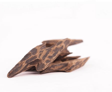 «عود كمبودي محسّن - تايقر»