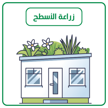 زراعة الأسطح