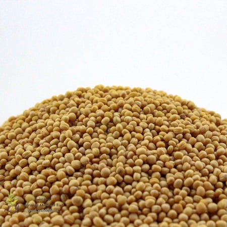 خردل اصفر