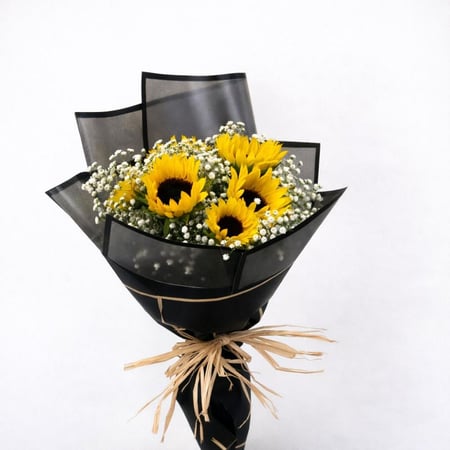 شمسي الجميلة