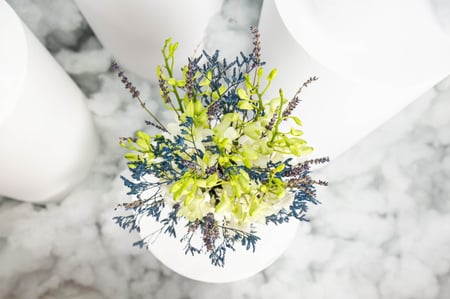 مزهرية أوركيديا