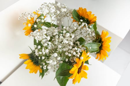 مزهرية دوار الشمس