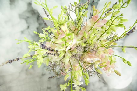 مزهرية أغصان البيبي اوركد