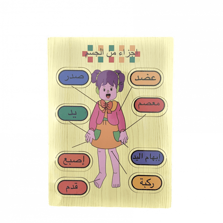 أجزاء من الجسم ( بنات )