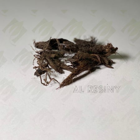 عشبة السابلة