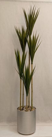 شجرة صبار مع مركن فيبر ارتفاع 210 سم العرض 60 سم