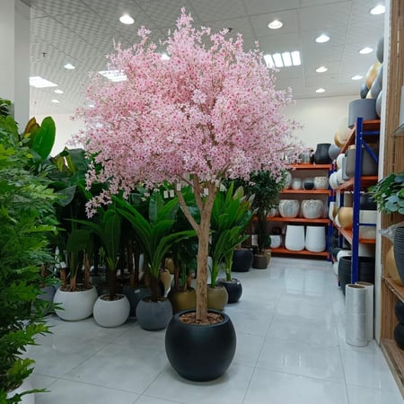 شجرة ورد مع مركن اصيص ارتفاع 230 سم العرض 130 سم
